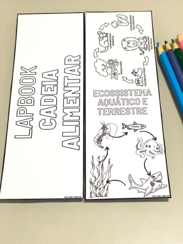 LAPBOOK CADEIA ALIMENTAR 📝 - Image 2