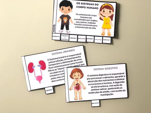 FLIPBOOK DOS SISTEMAS DO CORPO HUMANO 🫀🫁🧠 - Image 2