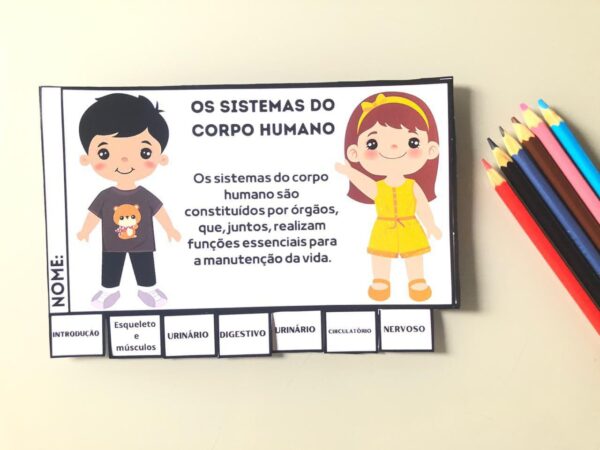 FLIPBOOK DOS SISTEMAS DO CORPO HUMANO 🫀🫁🧠