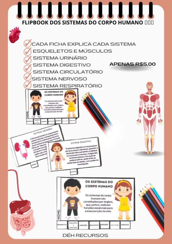 FLIPBOOK DOS SISTEMAS DO CORPO HUMANO 🫀🫁🧠 - Image 3