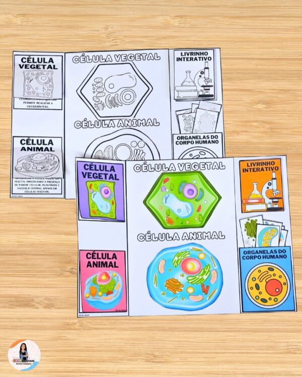 LAPBOOK CÉLULA 🧫🔬📝 - Imagem 3