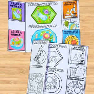 LAPBOOK CÉLULA 🧫🔬📝