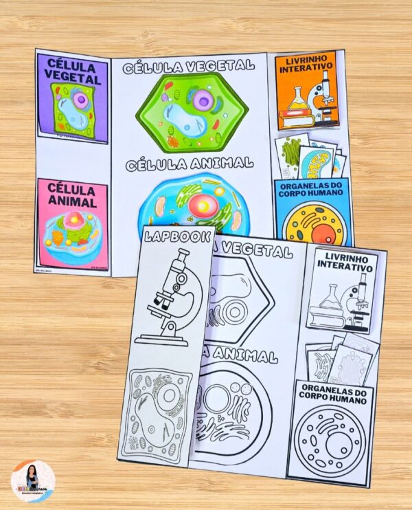 LAPBOOK CÉLULA 🧫🔬📝